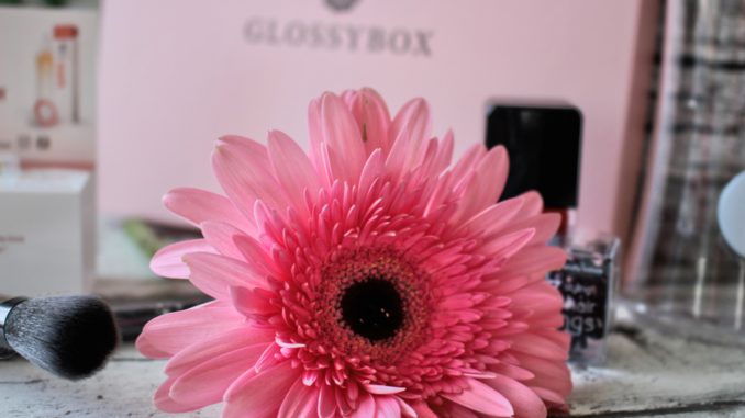 glossybox-juni-2017-inhalt-unboxing-Salsa-Summer-Nights-Edition-preis (8)