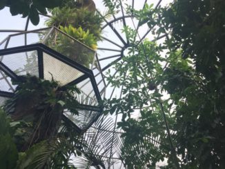Botanischer Garten und Tropenhäuser an der Universität in Zürich