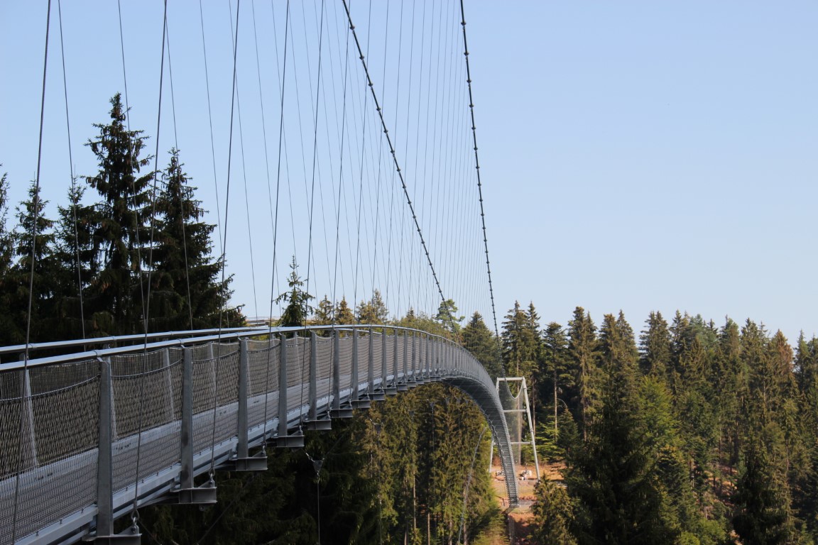 Ausflugs-Tipp auf dem Sommerberg im Nördlichen Schwazwald: Die Wildline Hängebrücke über Bad Wildbad als Nervenkitzel