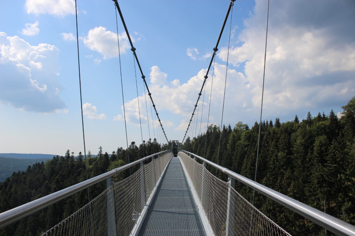 Nervenkitzel pur: Die Wildline Hängebrücke über Bad Wildbad als AusflugTipp auf dem Sommerberg im Nördlichen Schwazwald