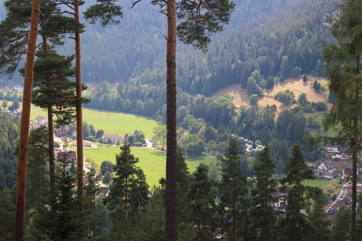 Heidelbeerdorf Enzklösterle im Schwarzwald