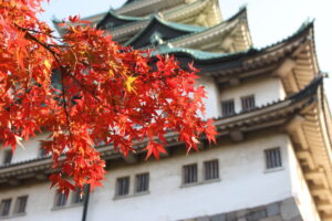 Die Schönsten Reiseziele in Japan Nagoya Castle im Herbst